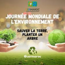 Protection de la biodiversité et des écosystèmes : l’engagement d’Environnement et Actions Humanitaires pour le Bien-être